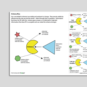 Schema Bias