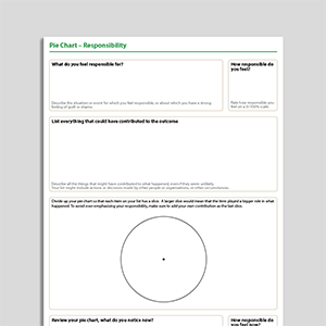 Pie Chart - Responsibility