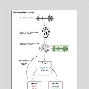 What Keeps Tinnitus Going