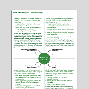 What Keeps Bipolar Disorder Going?