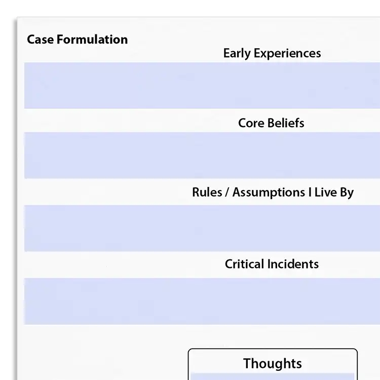 Psychology Tools resource: Case Formulation – Longitudinal B