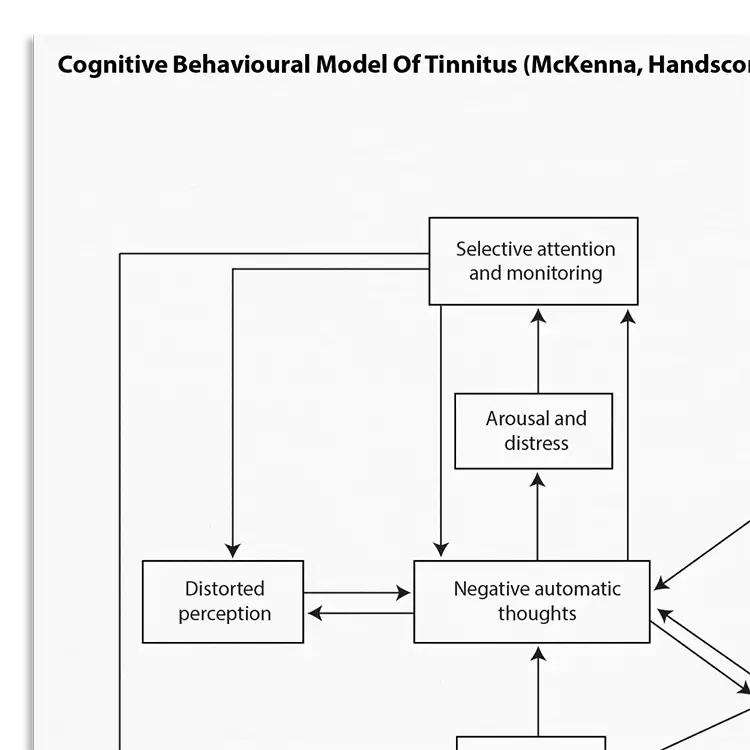 Psychology Tools resource: Cognitive Behavioral Model Of Tinnitus (McKenna, Handscombe, Hoare, Hall, 2014)