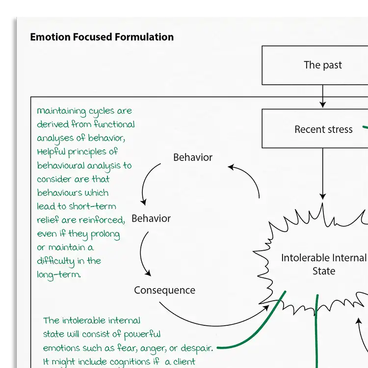 Psychology Tools resource: Emotion Focused Formulation