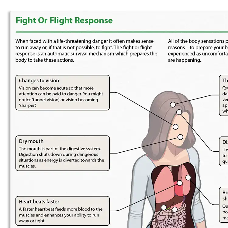 Psychology Tools resource: Fight Or Flight Response