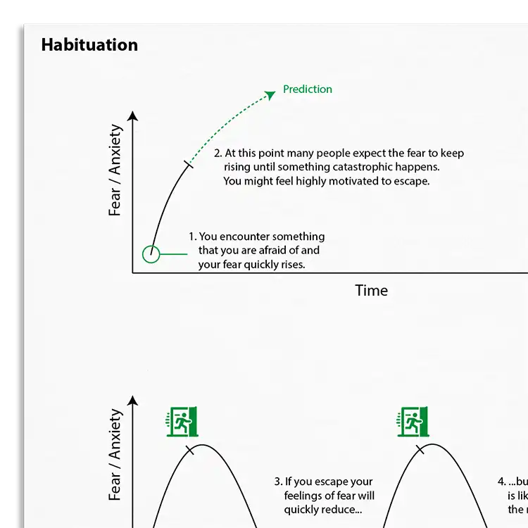 Psychology Tools resource: Habituation