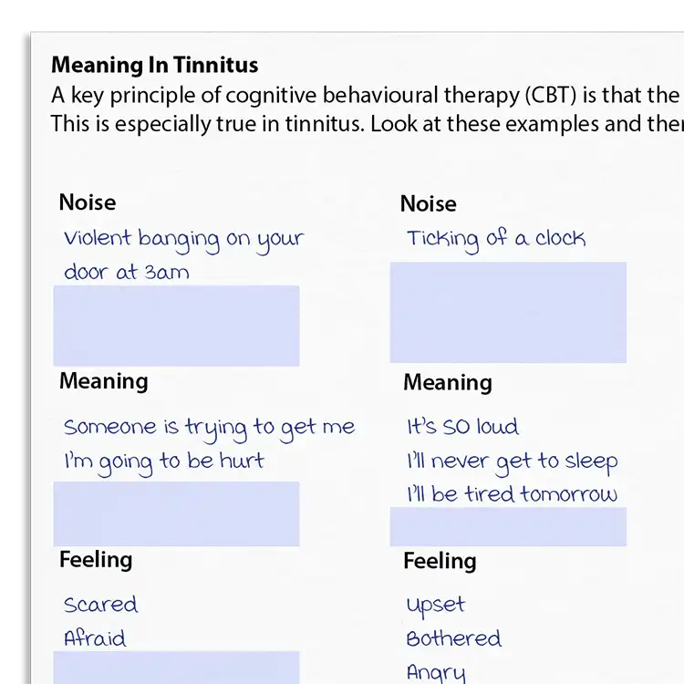 Psychology Tools resource: Meaning In Tinnitus