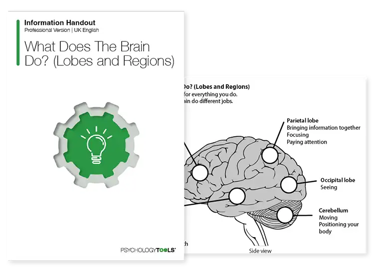 Psychology Tools resource: What Does The Brain Do? (Lobes and Regions)