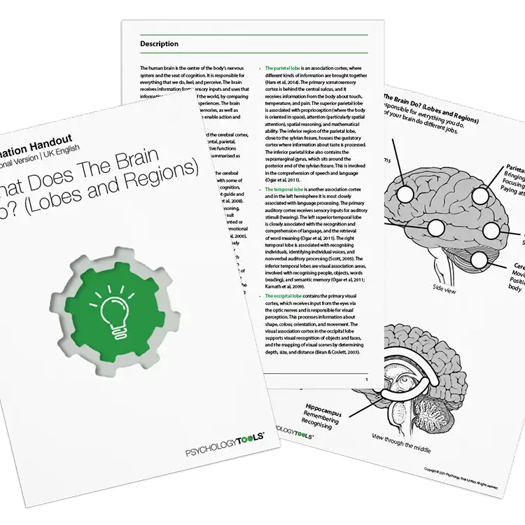 Psychology Tools resource: What Does The Brain Do? (Lobes and Regions)