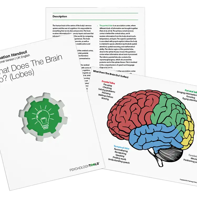 Psychology Tools resource: What Does The Brain Do? (Lobes)