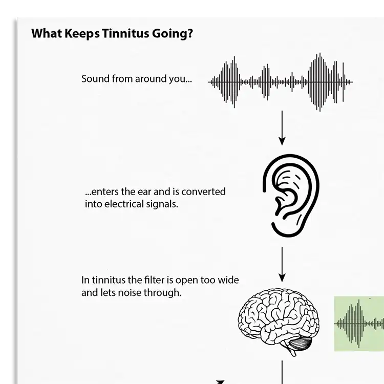 Psychology Tools resource: What Keeps Tinnitus Going