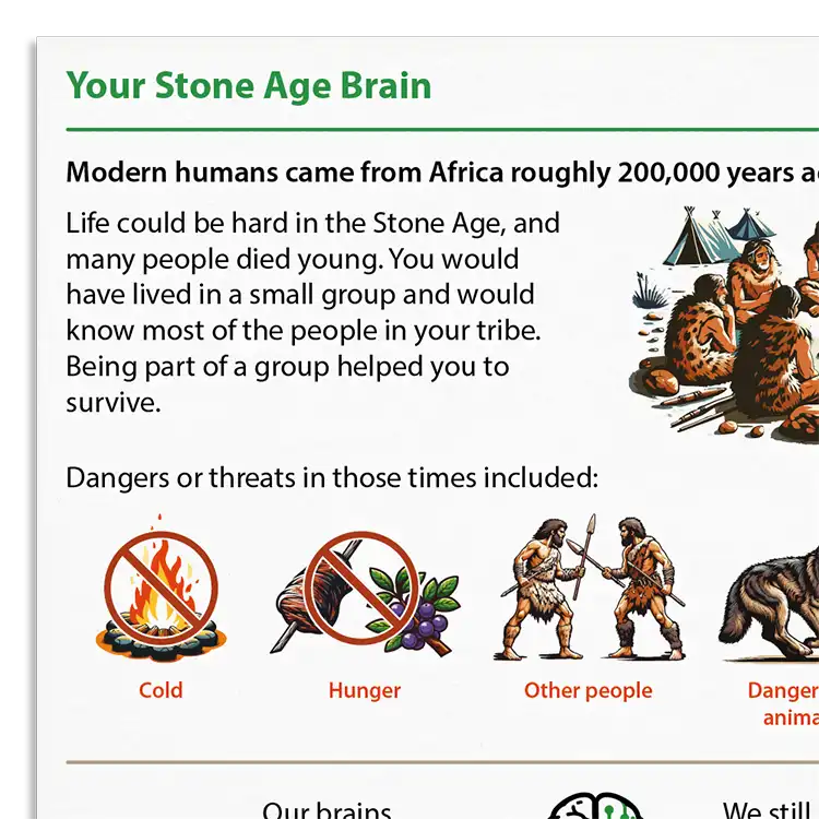 Psychology Tools resource: Your Stone Age Brain (CYP)