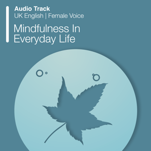 Mindfulness In Everyday Life (Audio)
