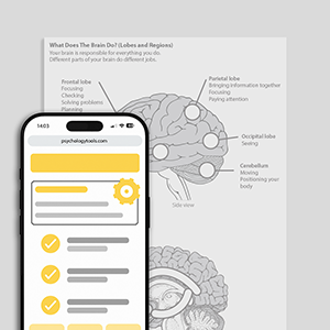 Psychology Tools resource: What Does The Brain Do? (Lobes and Regions)