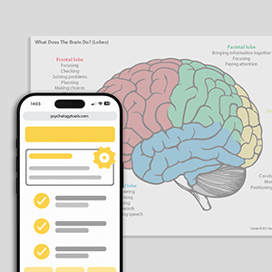 Psychology Tools resource: What Does The Brain Do? (Lobes)