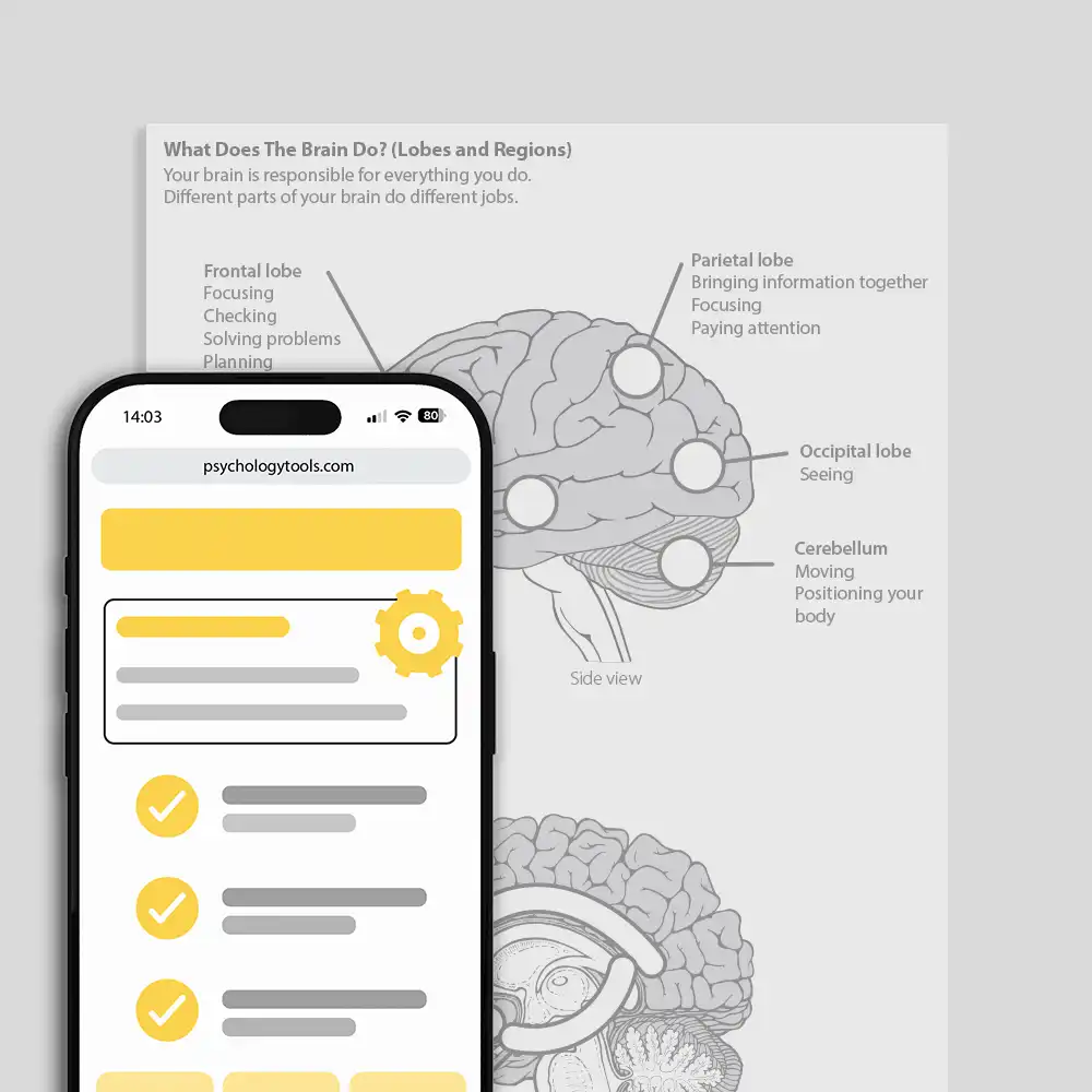 Psychology Tools resource: What Does The Brain Do? (Lobes and Regions)