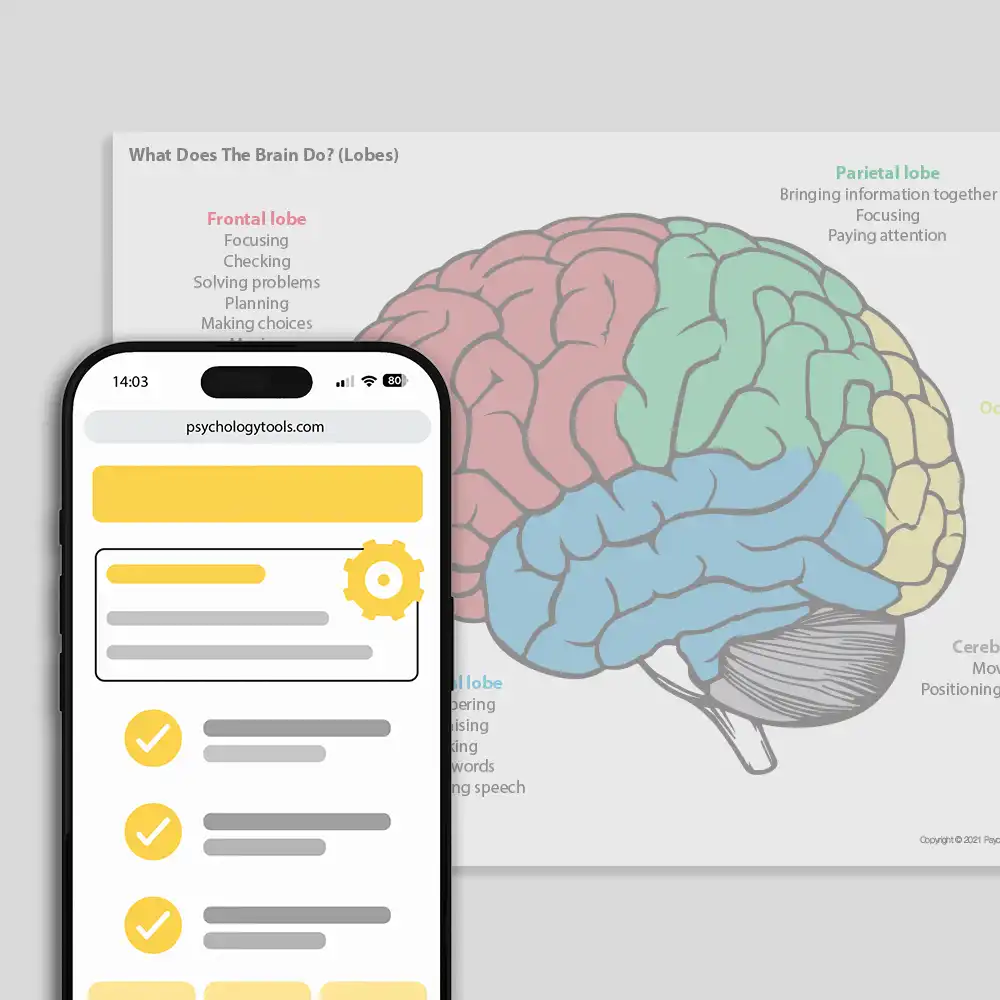 Psychology Tools resource: What Does The Brain Do? (Lobes)